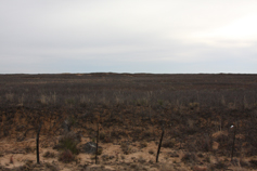 Bledsoe, TX